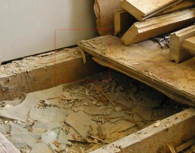Скрип пола причины и как устранить Скрип пола причины и как устранить