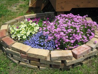 Фото клумбы своими руками