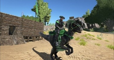 Ark Ark