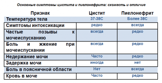 Цистит и пиелонефрит у детей Цистит и пиелонефрит у детей