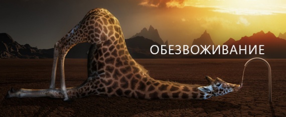 Обезвоживание организма Обезвоживание организма