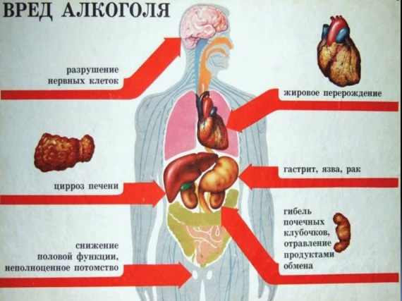 Вред алкоголя и курения