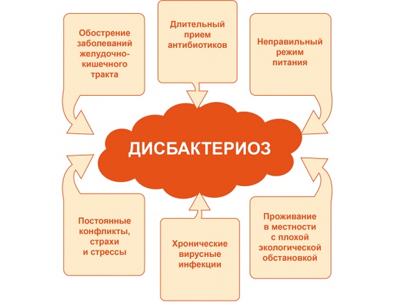 Причины дисбактериоза кишечника Причины дисбактериоза кишечника